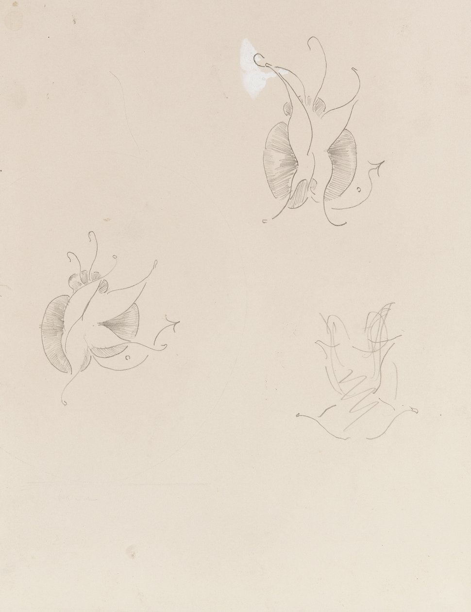 To Whistler Butterflies og en ødelagt skitse, ca. 1890 (blyant og kinesisk hvid på papir) af James Abbott McNeill Whistler
