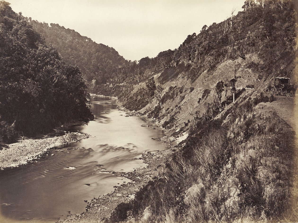 Manawatu Gorge 1 Mile From Bridge, 1878 (albumin print) af James Bragge