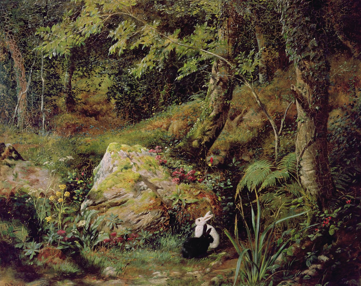 Herreløse kaniner af James Collinson