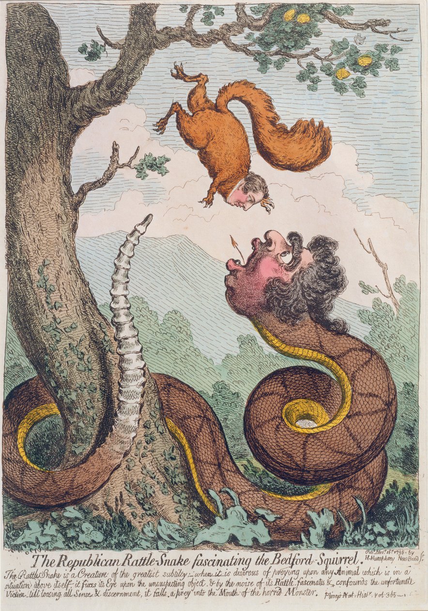 Den republikanske klapperslange fascinerer Bedford-egernet, udgivet af Hannah Humphrey i 1795 (håndfarvet radering) af James Gillray