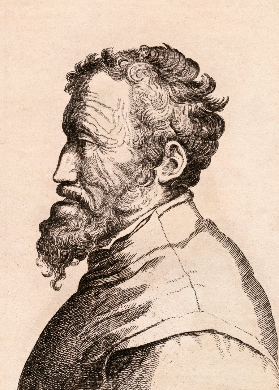 Michelangelo di Lodovico Buonarroti Simoni, illustration fra 