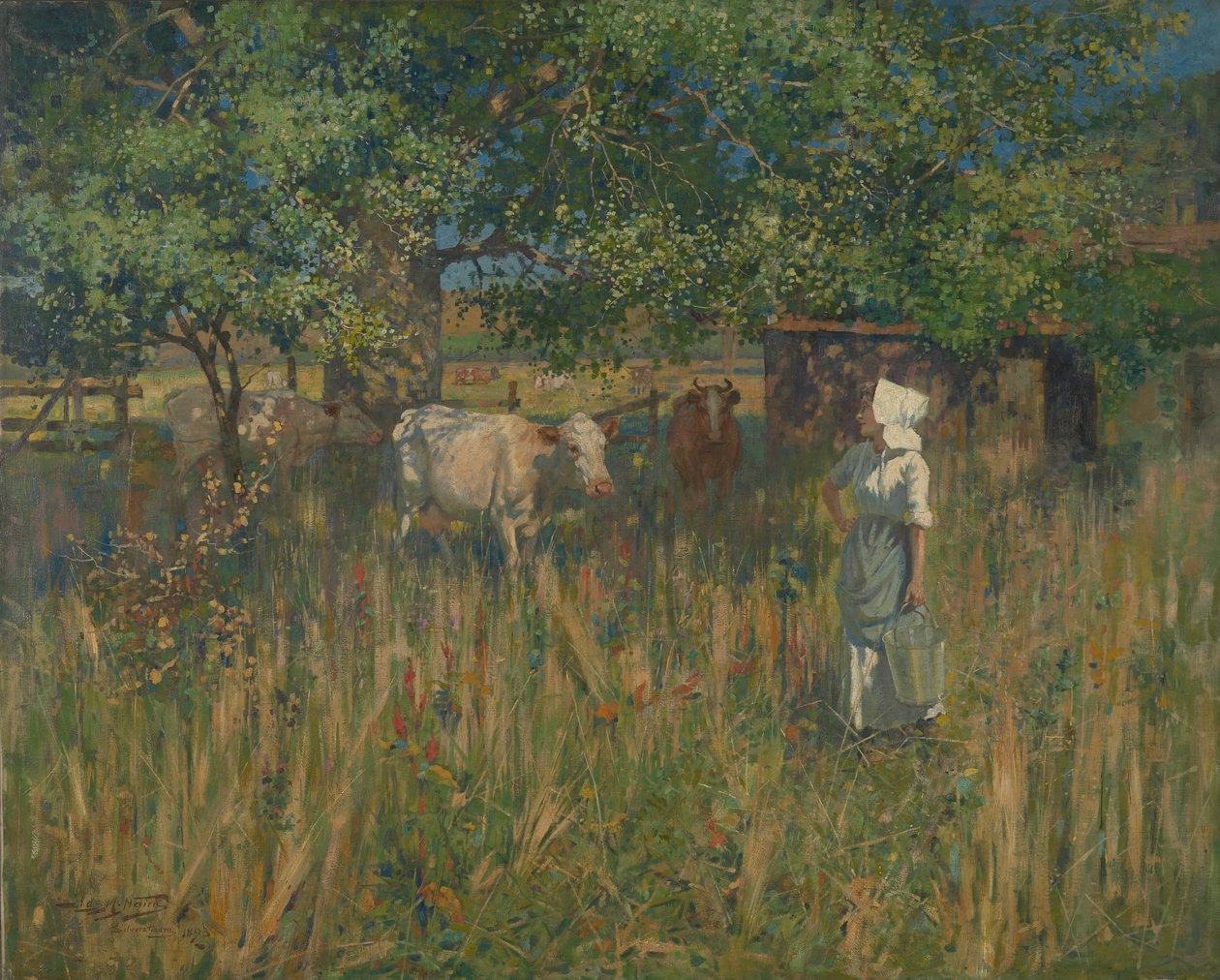 Tess af James McLachlan Nairn