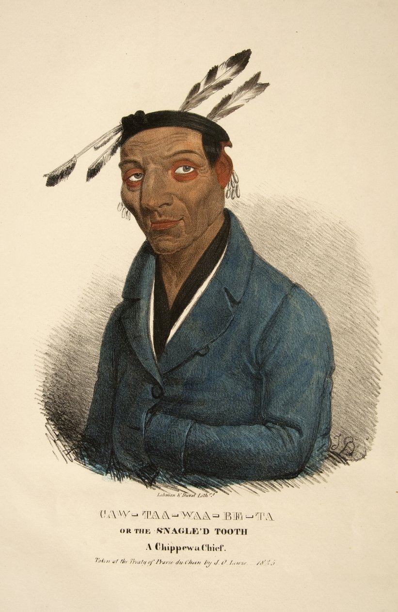 Caw-taa-waa-be-ta eller den snavsede tand af James Otto Lewis