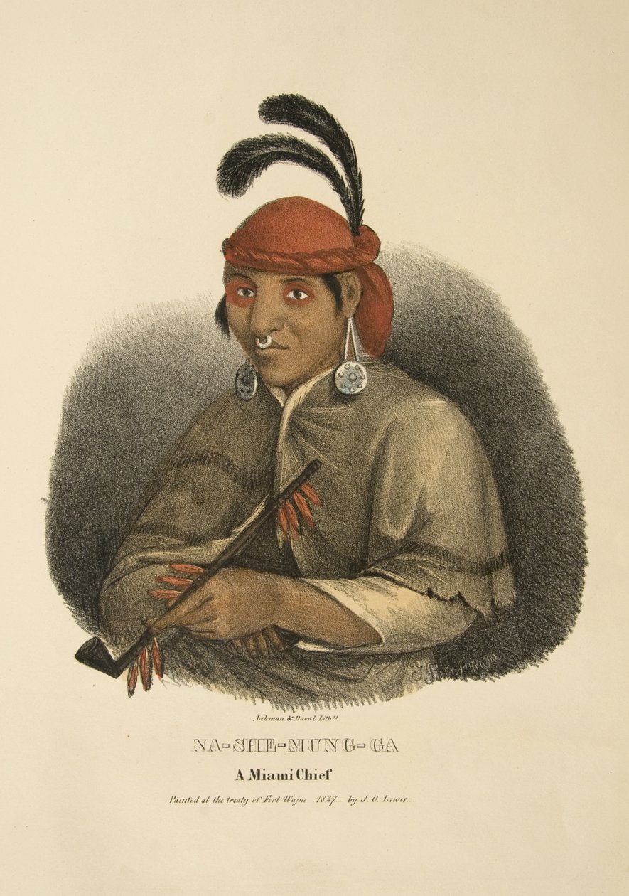 Na-she-mung-ga af James Otto Lewis