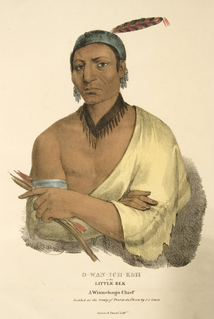 O-wan-ich-koh eller den lille elg af James Otto Lewis