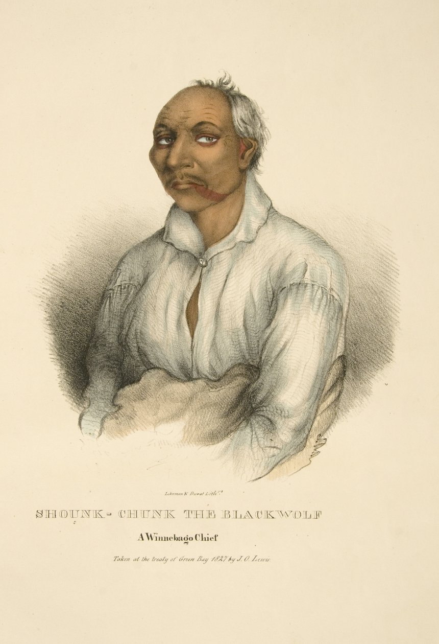 Shounk-chunk The Blackwolf af James Otto Lewis