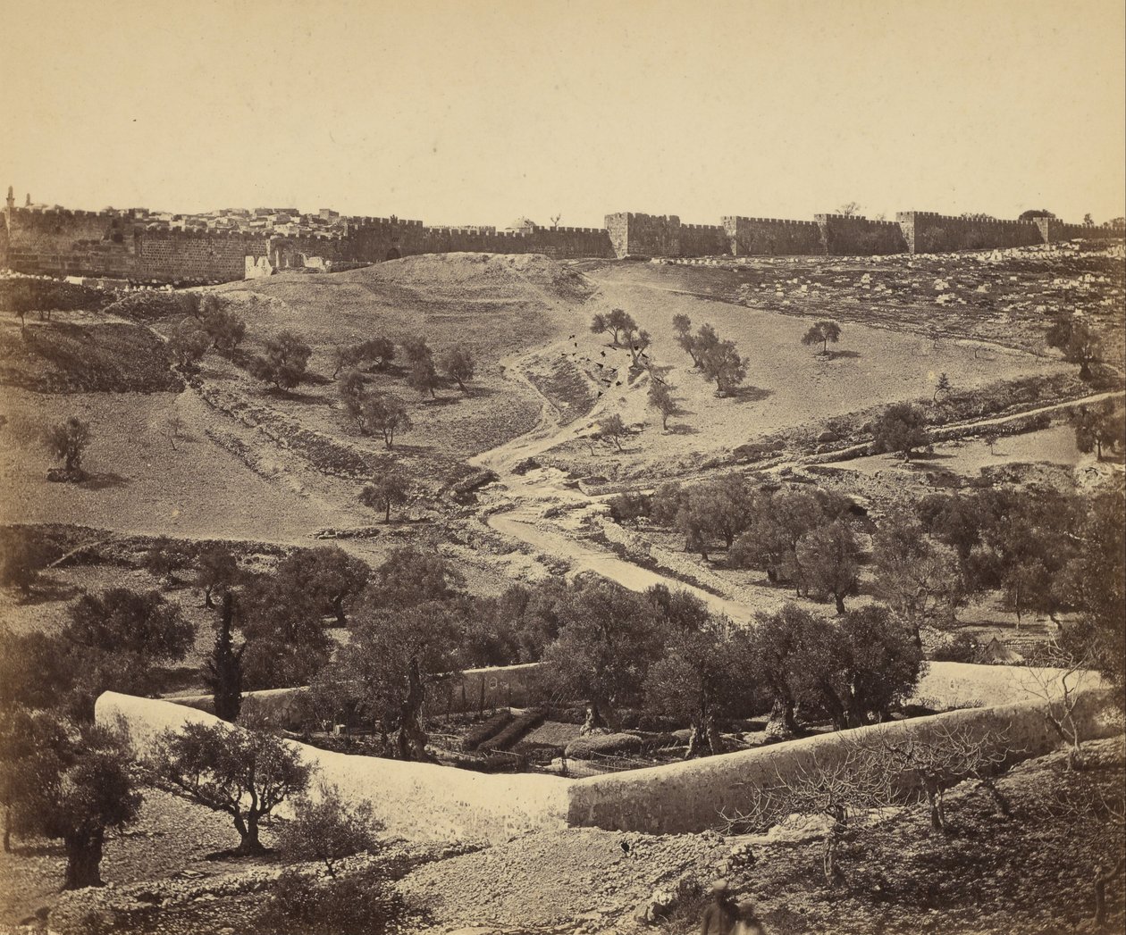 (Jerusalem. Jardin de Gesthsemane) af James Robertson