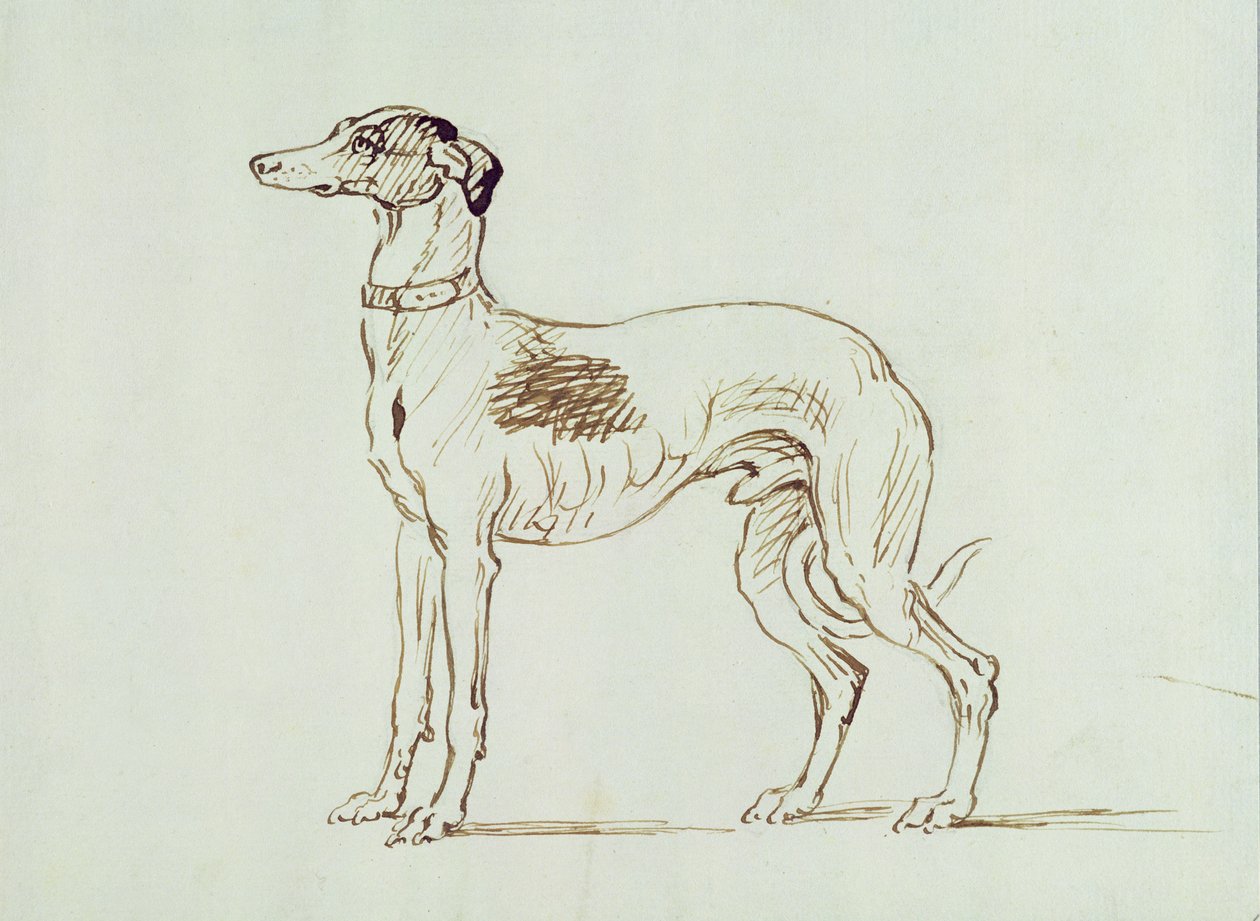 En Greyhound, Venstrevendt af James Seymour