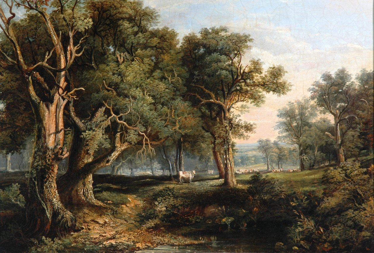 Skovscene af James Stark