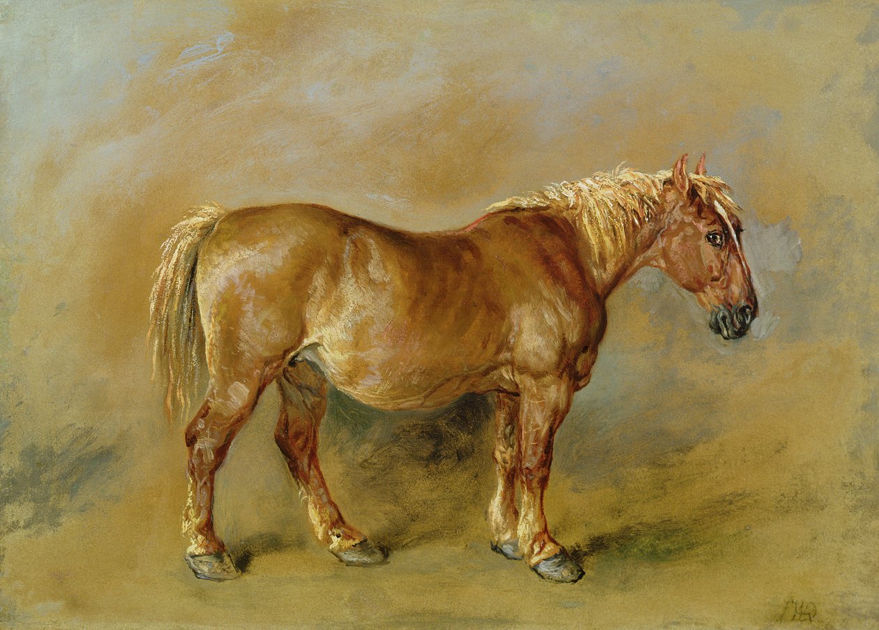 En Suffolk Punch (olie på papir lagt på lærred) af James Ward