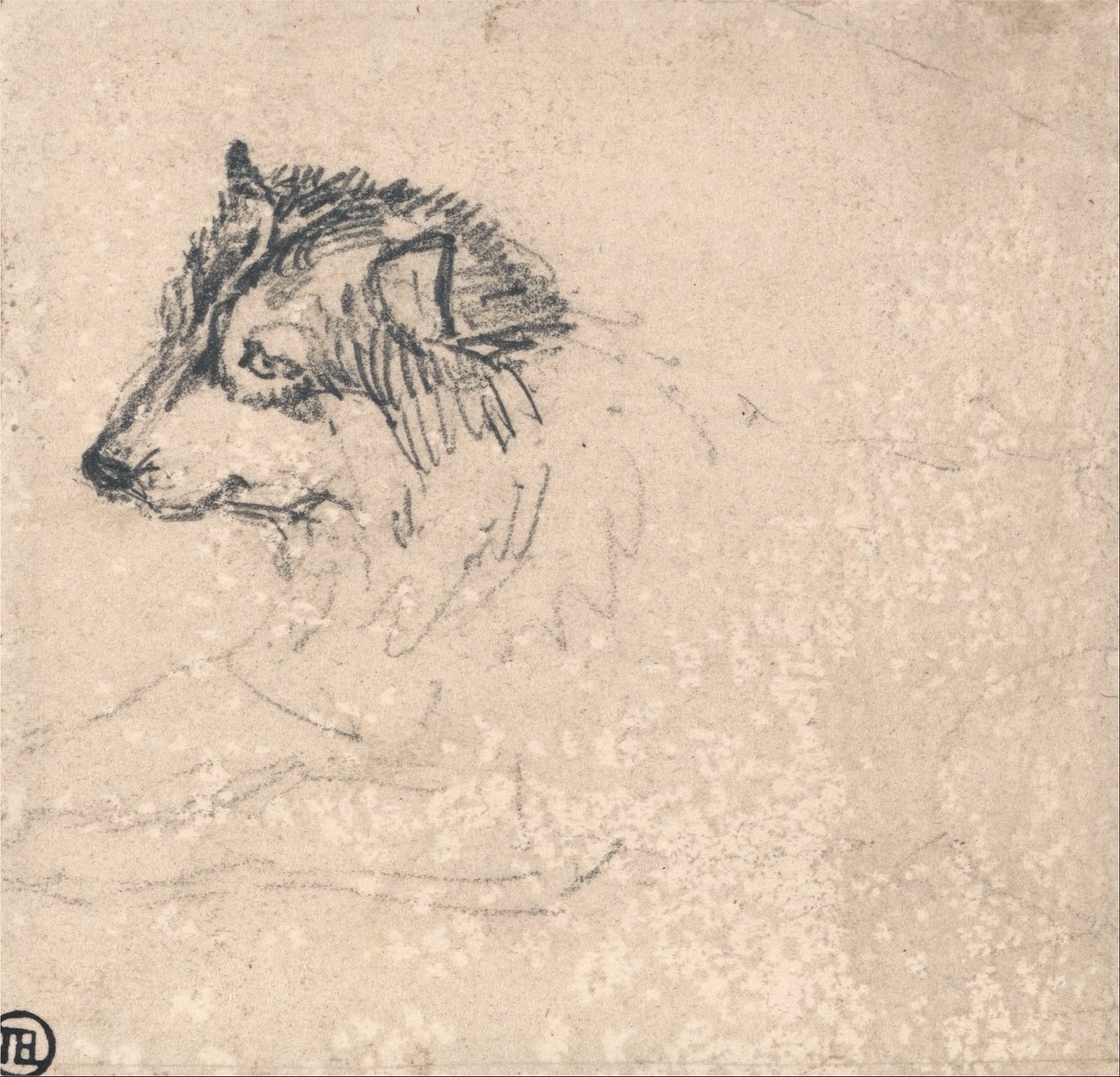 Arctic Dog, mod venstre af James Ward