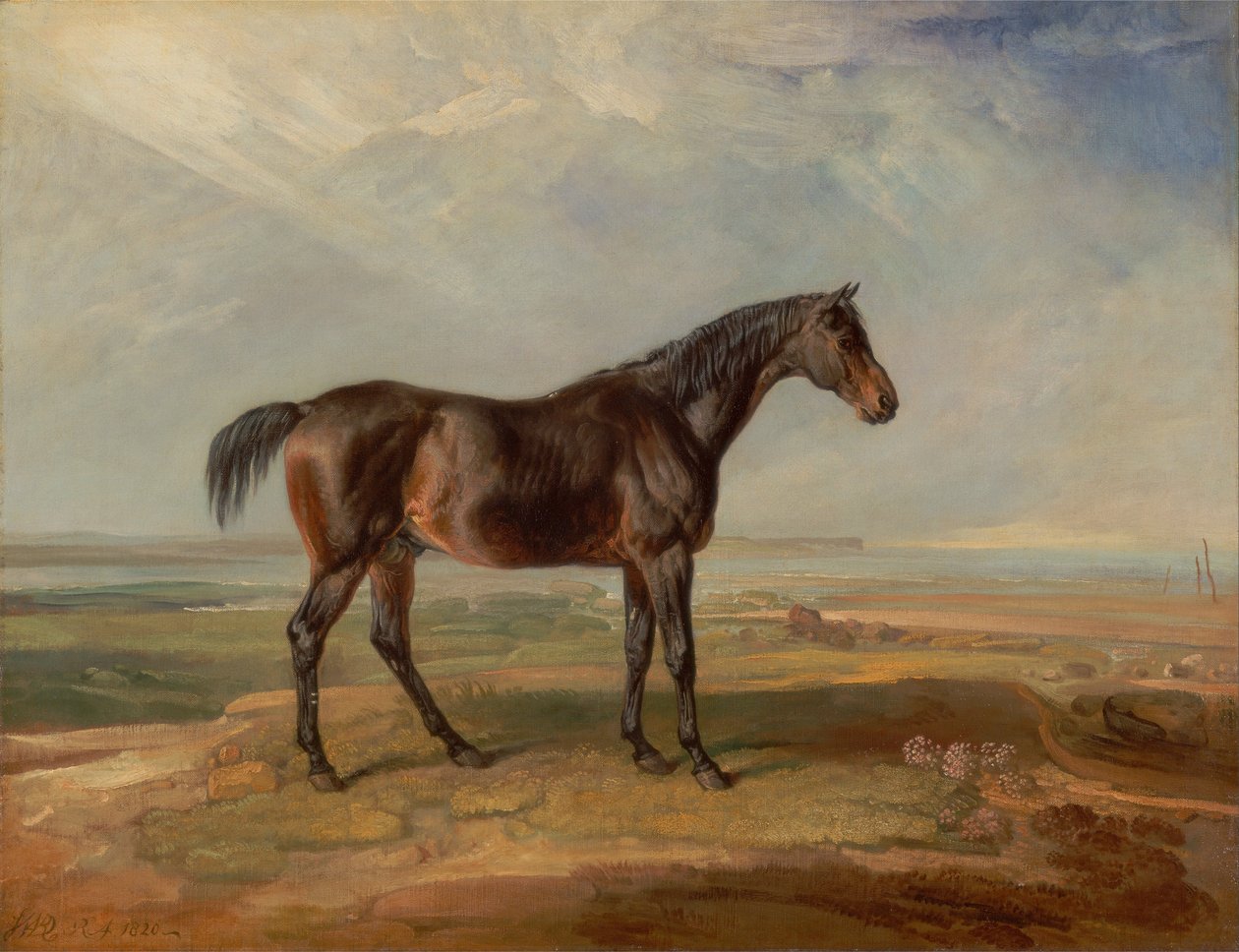 Dr. Syntax, en Bay Racehorse, Stående i et kystlandskab, en flodmunding ud over af James Ward