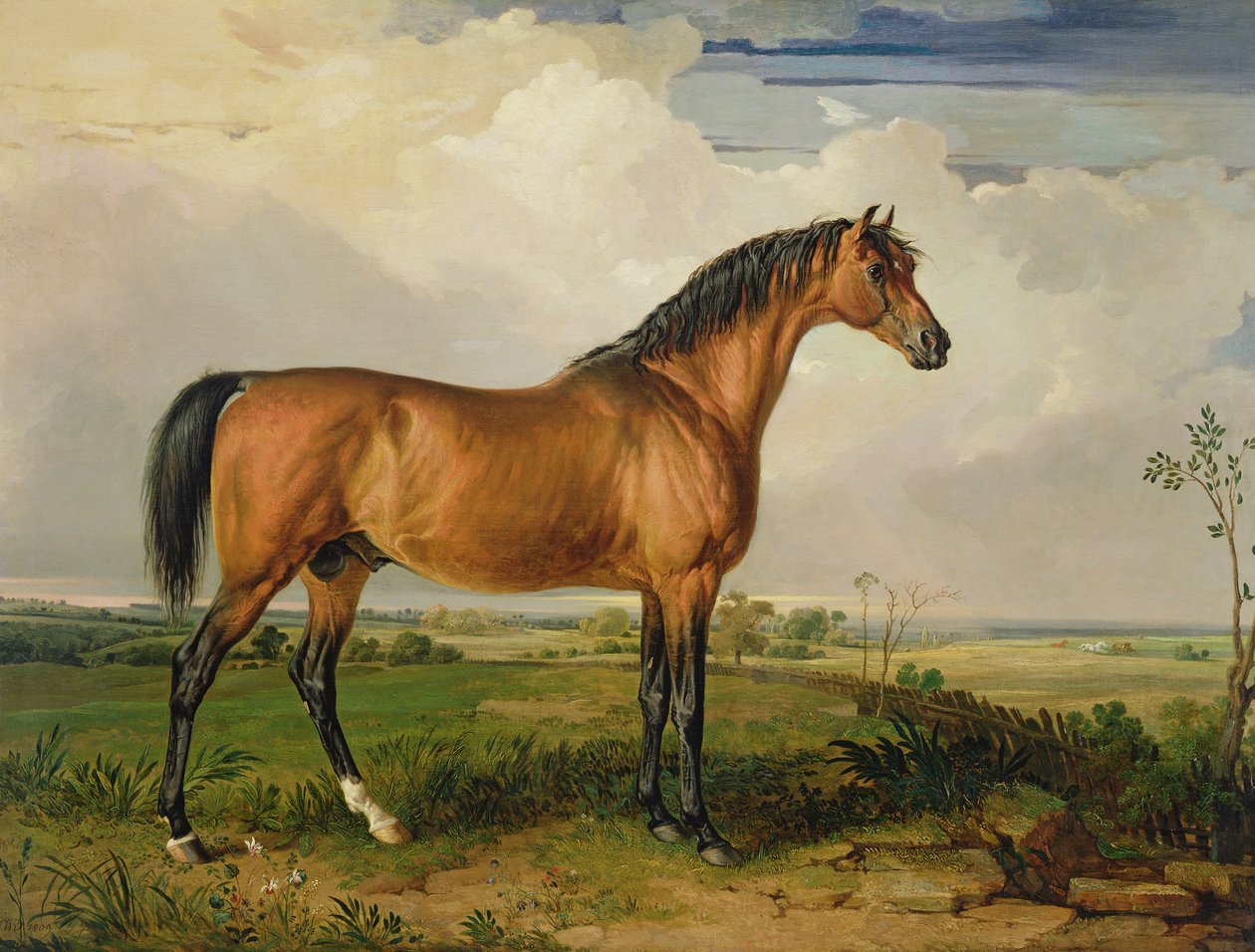 Eagle, en fejret hingst af James Ward
