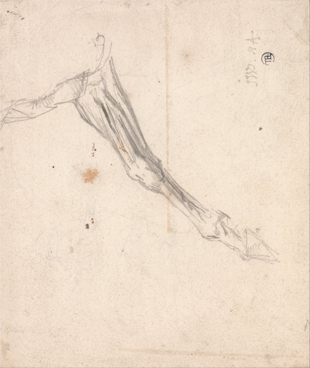 Heste forbenet- muligvis en undersøgelse for LAmour de Cheval, dateret 1827, i Tate Gallery af James Ward
