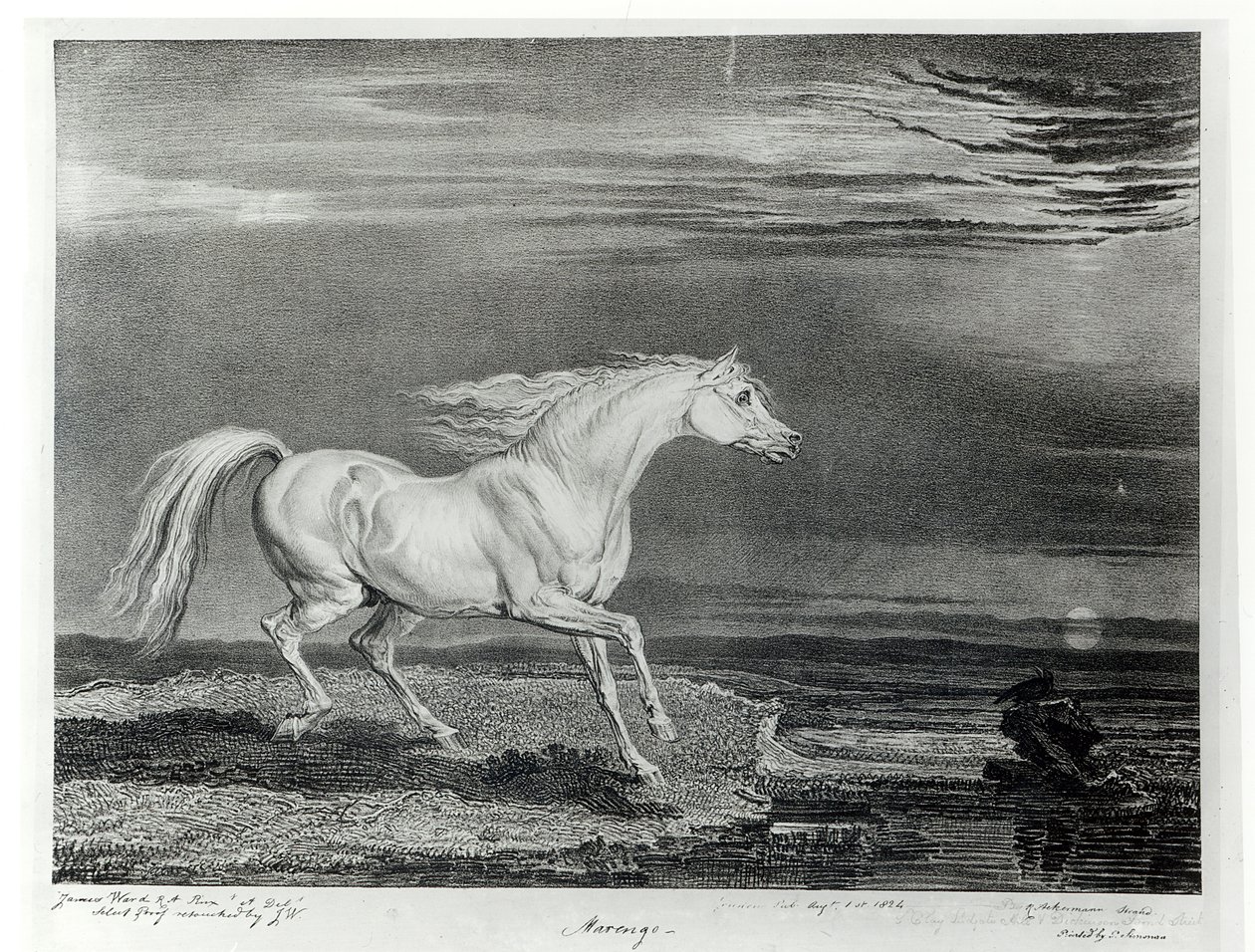 Marengo, indgraveret af kunstneren, pub. af R. Ackermann, 1824 af James Ward