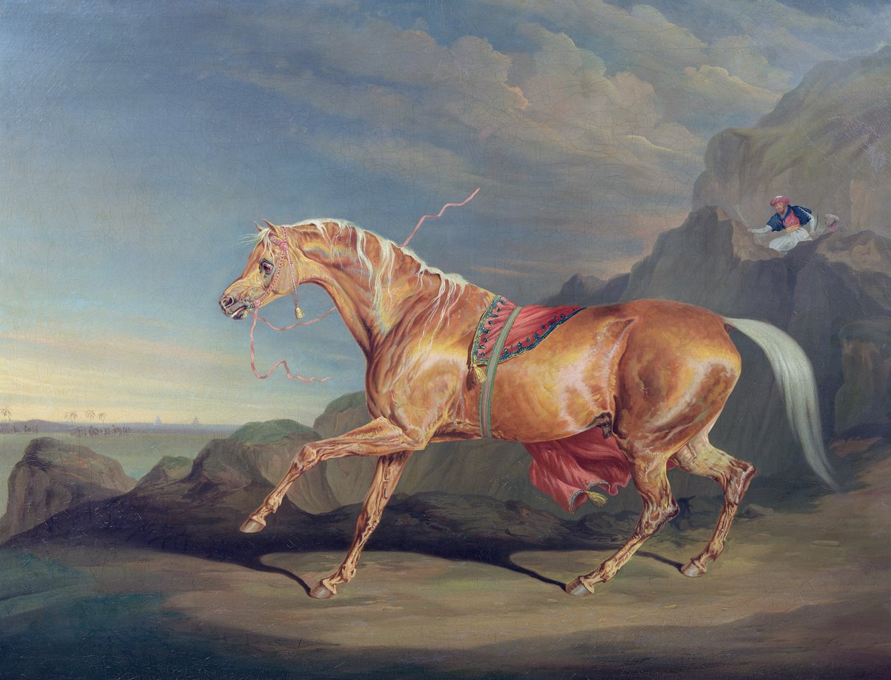 Hr. Alfred Bonars Arabian, Dare Devil af James Ward