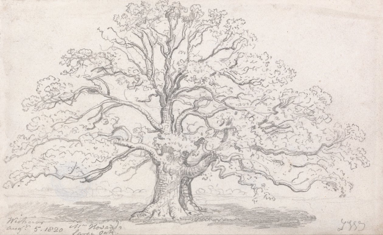 Mr. Howards Large Oak, 5. august 1820 af James Ward