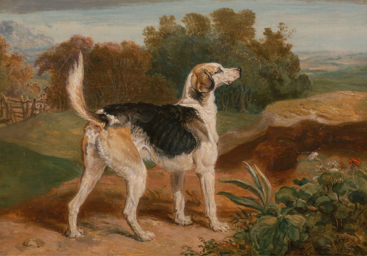 Ravager, en af Lambton Hounds af James Ward