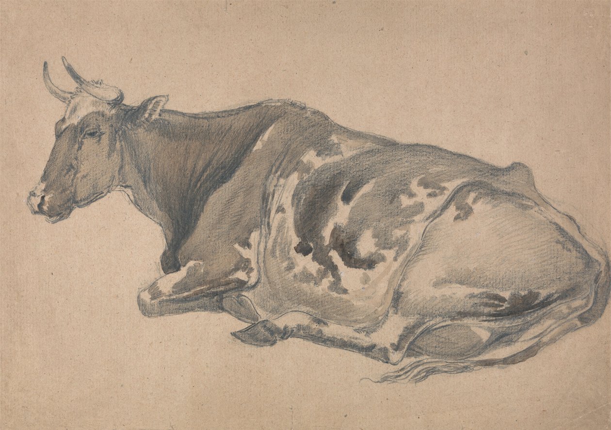 Studie af en ko af James Ward