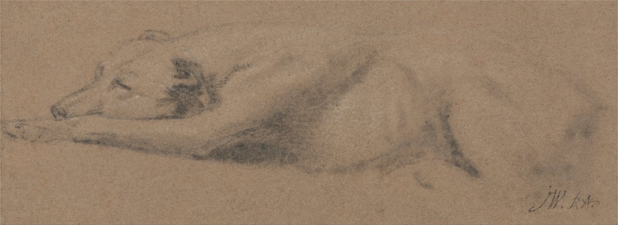 Studie af en sovende hund af James Ward