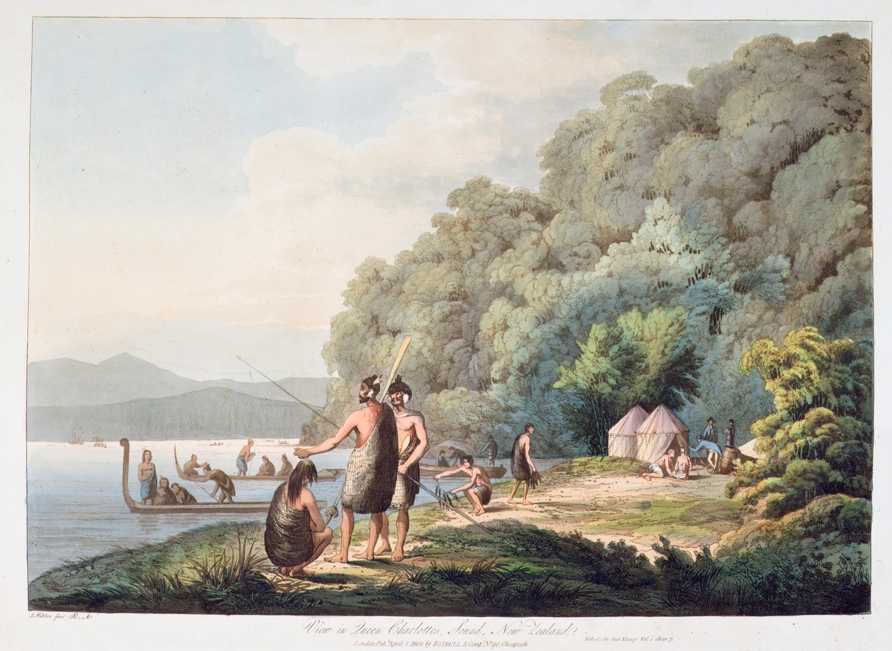 Udsigt i Queen Charlotte Sound, New Zealand, fra Views in the South Seas, 1809 (håndfarvet akvatint) af James Webber