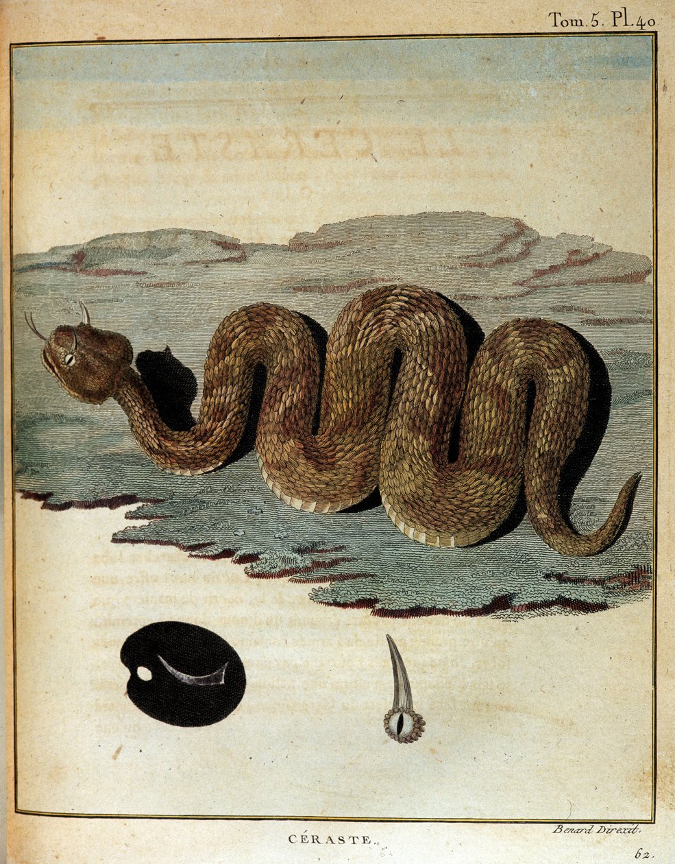Serpent - i "" Rejse til Nubien og Abessinien foretaget for at opdage Nilens kilder i årene 1768 til 1772", af James Bruce, Paris af James Bruce