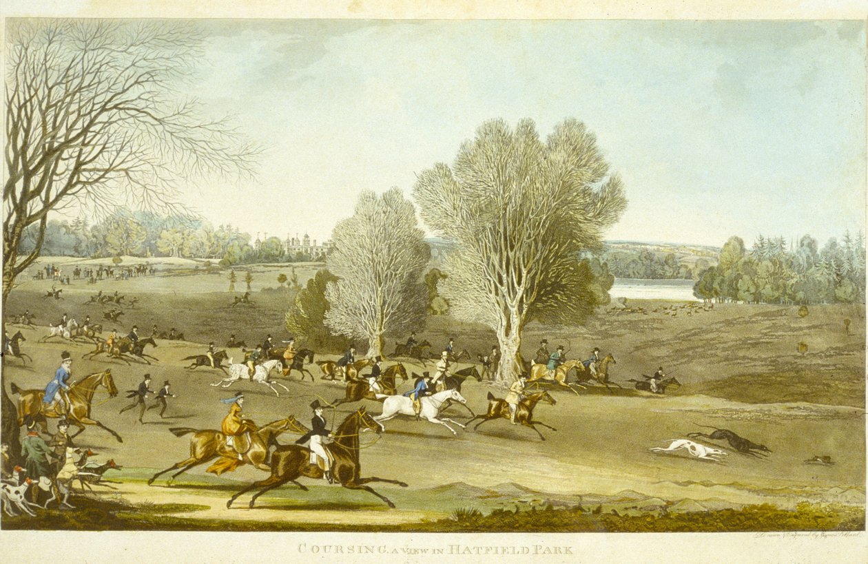 Coursing - A View of Hatfield Park, indgraveret af James Pollard (1797-1867) (farve litho) (se også 266808) af James (after) Pollard