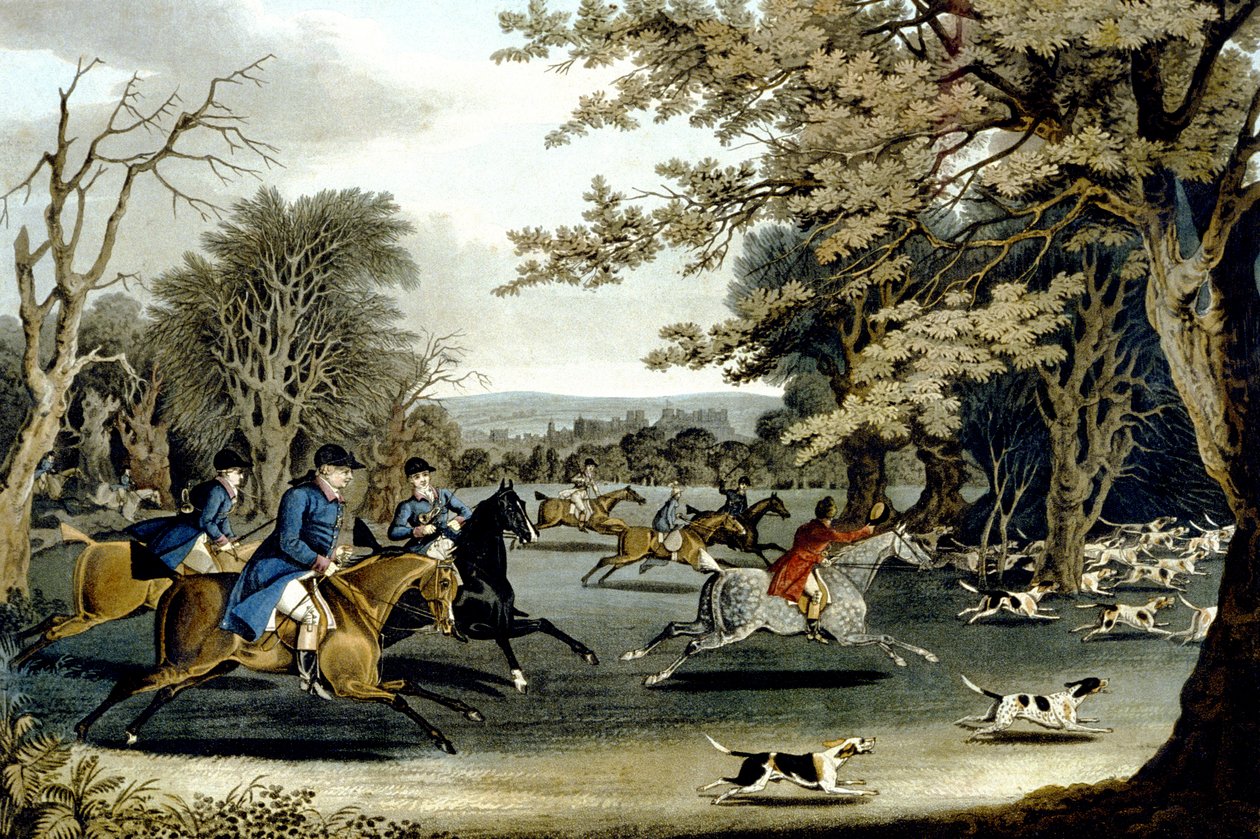 Royal Hunt in Windsor Park, graveret af Matthew Dubourg (fl.1813-20) 1829 (farve litho) af James (after) Pollard