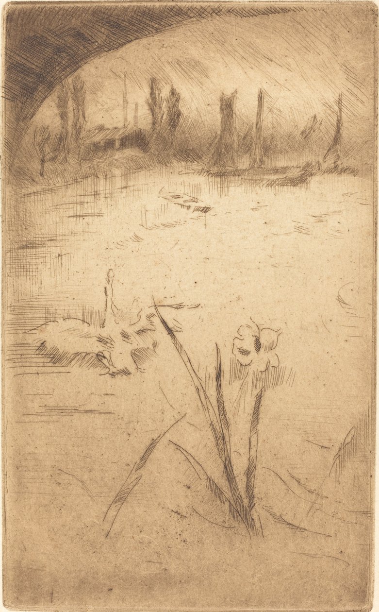 Swan and Iris, udgivet 1883. af James Abbott McNeill Whistler
