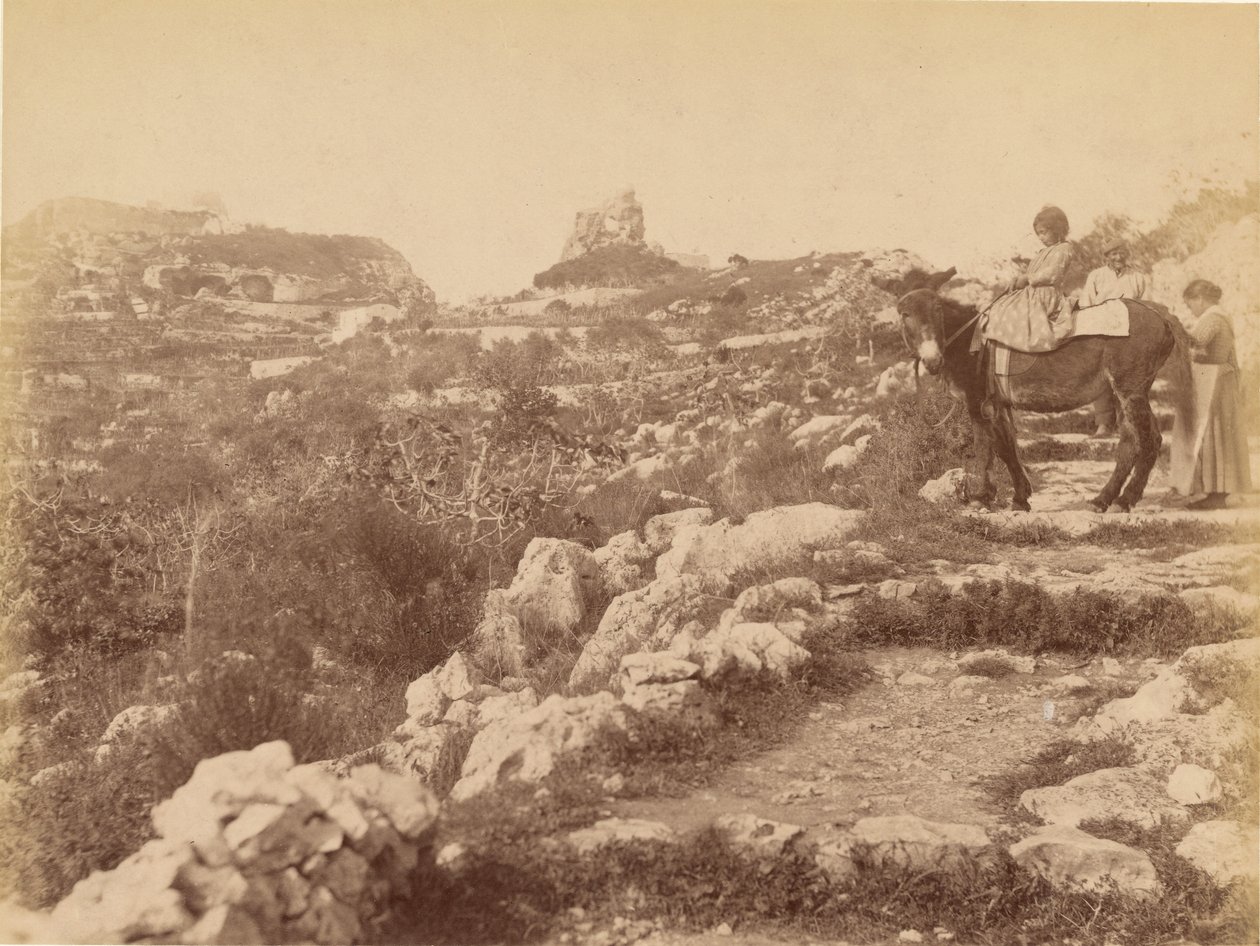 Capri [barn på muldyr] af James Anderson