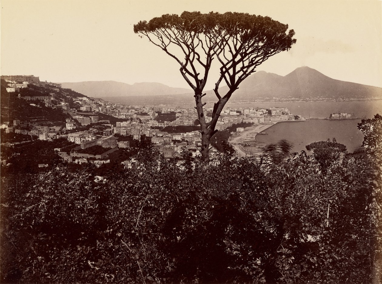 Panorama over Napoli af James Anderson