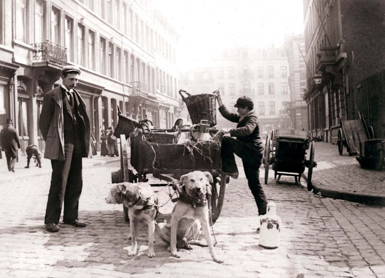 Dreng med hundevogn, Antwerpen, 1898. af James Batkin