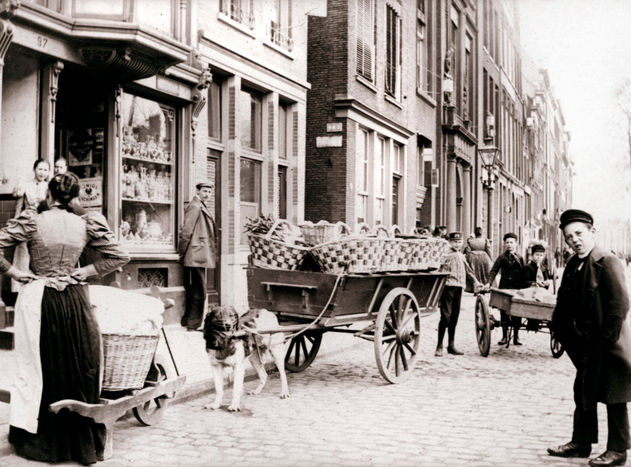 Hundevogn, Antwerpen, 1898. af James Batkin