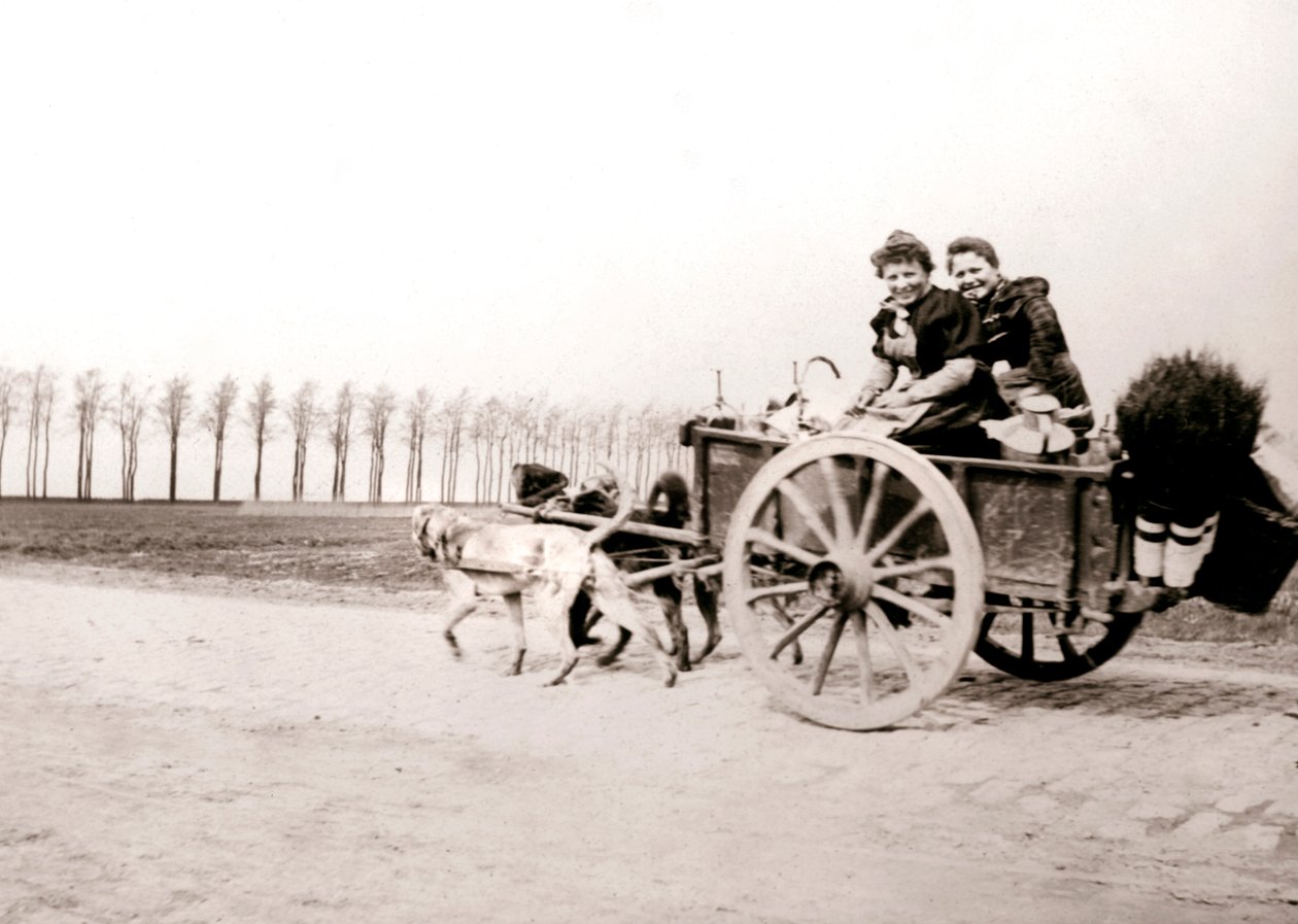 Hunde trækker kvinder på en vogn, Antwerpen, 1898. af James Batkin
