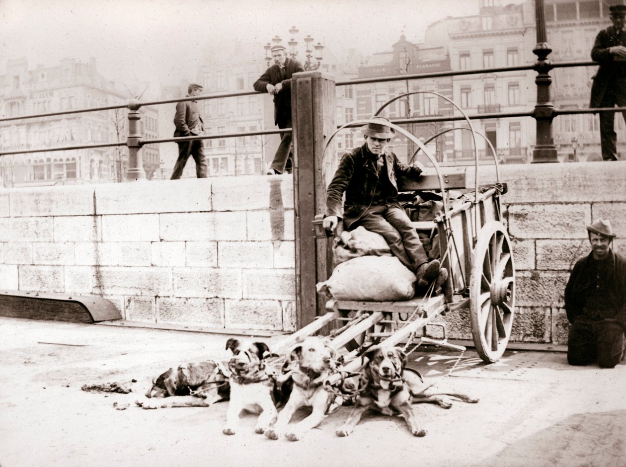 Mand med hundevogn, Antwerpen, 1898. af James Batkin