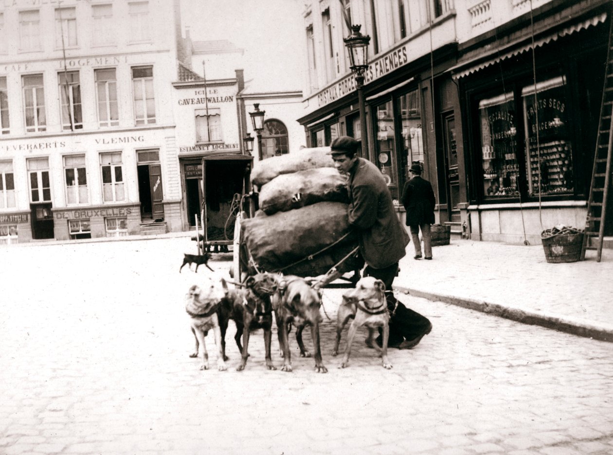 Mand med hundevogn, Antwerpen, 1898 af James Batkin