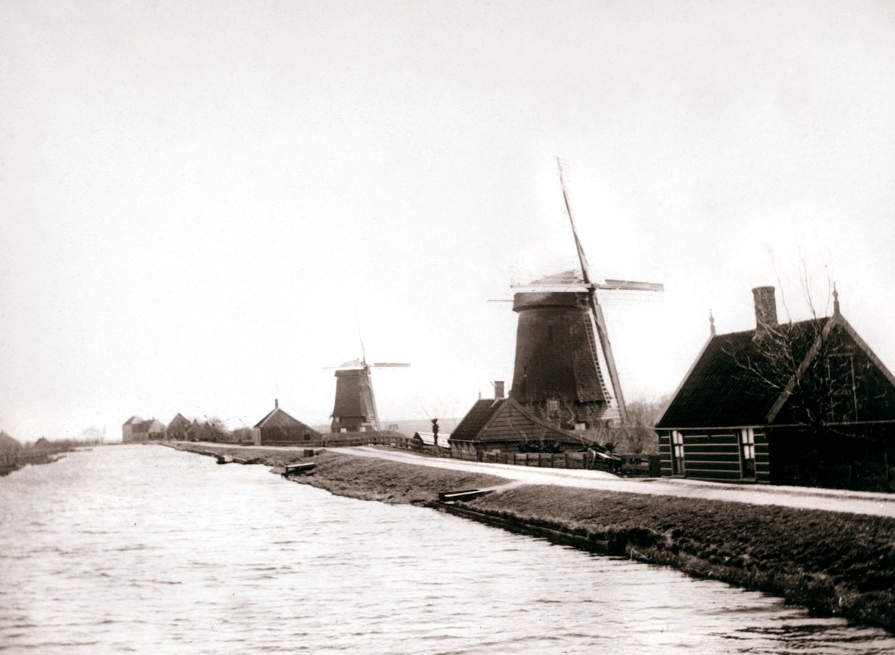 Vindmøller, Laandam, Holland, 1898. af James Batkin