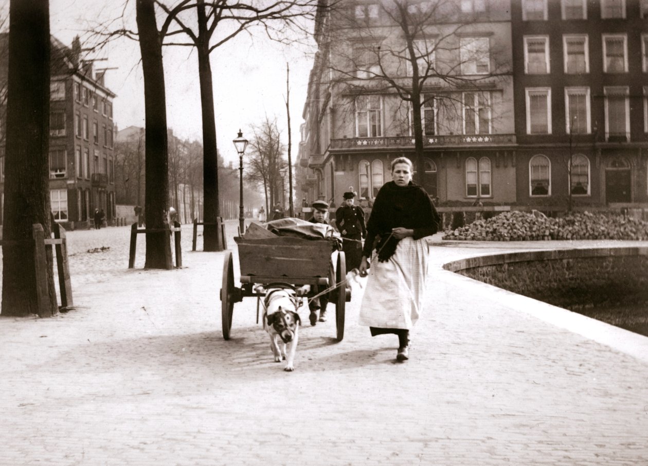 Kvinde med hundevogn, Rotterdam, 1898. af James Batkin
