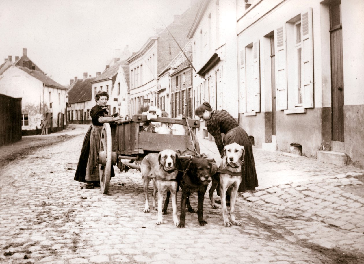 Kvinder og hundevogn, Antwerpen, 1898 af James Batkin