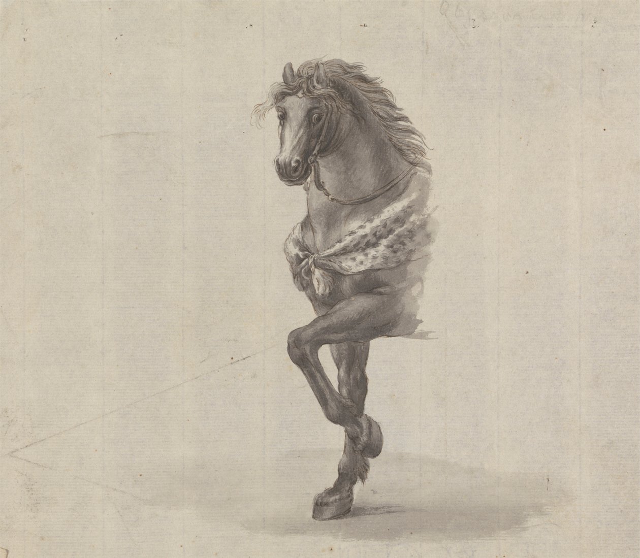 Studie af forsiden af en hest af James Bruce