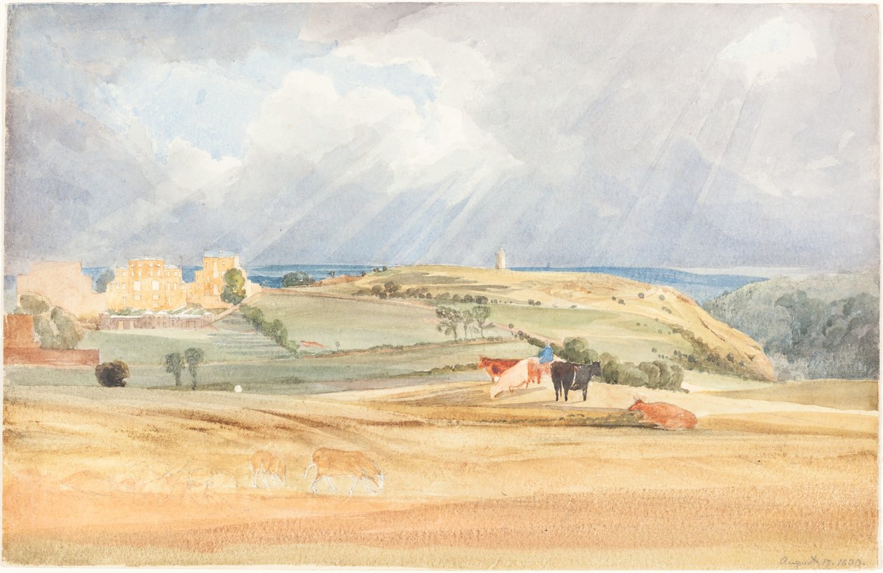 Landskab med kvæg (Somerset?) af James Bulwer