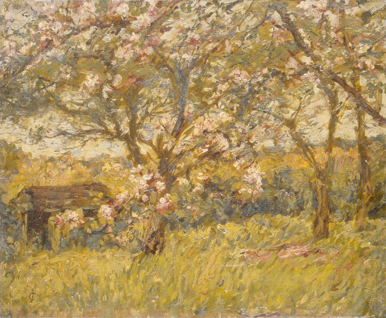 Apple Blossom (olie på lærred) af James Charles