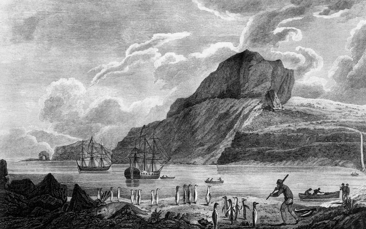 Kerguelen-øen, udsigt over Christmas Bay, tegning af William Hodges, gravering af William Watts, illustration fra Voyage against South Pole, and Round World, af James Cook (1728-1779), udgave udgivet i Paris i 1778 af James Cook