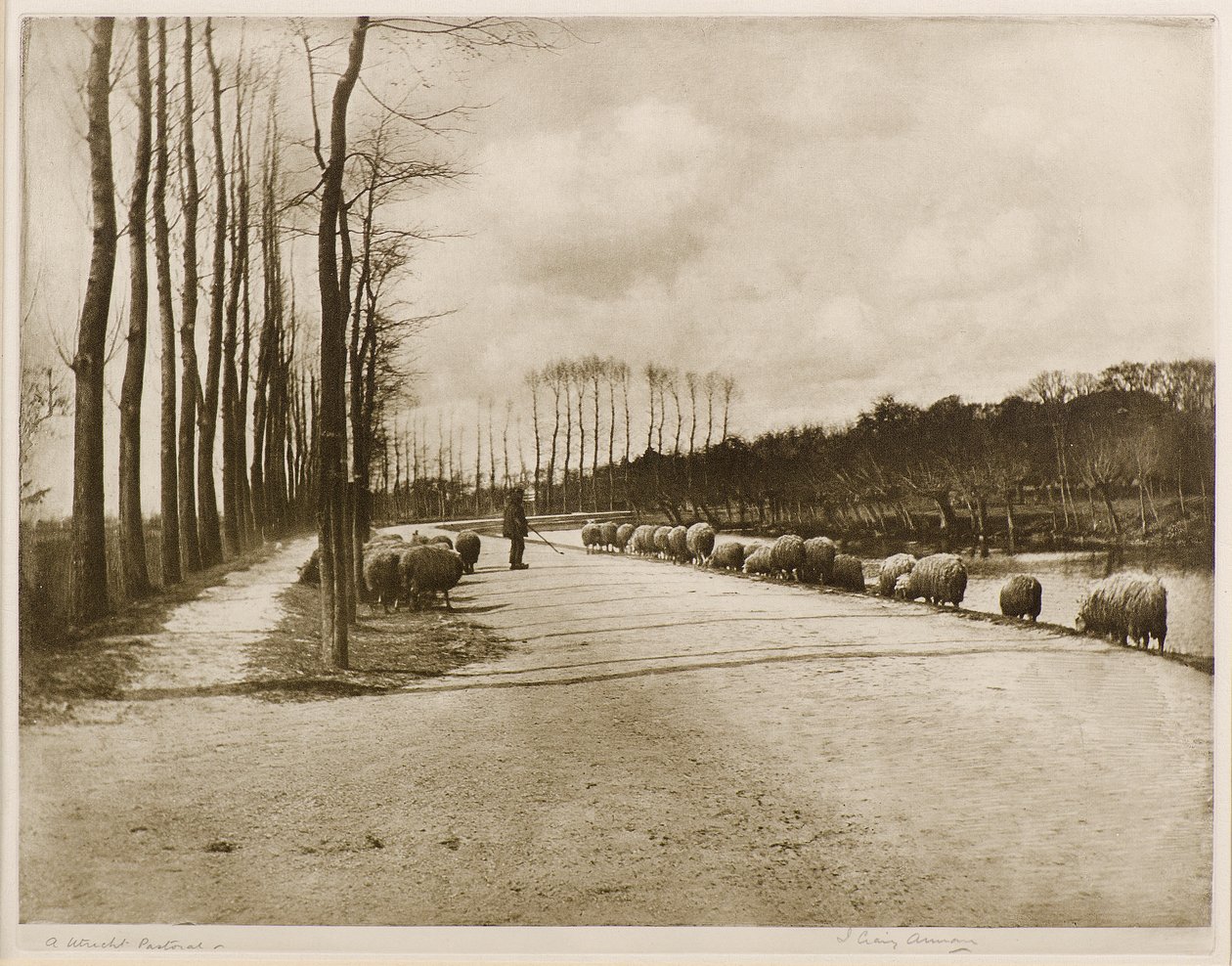 I Utrecht Pastoral (fotogravure) af James Craig Annan