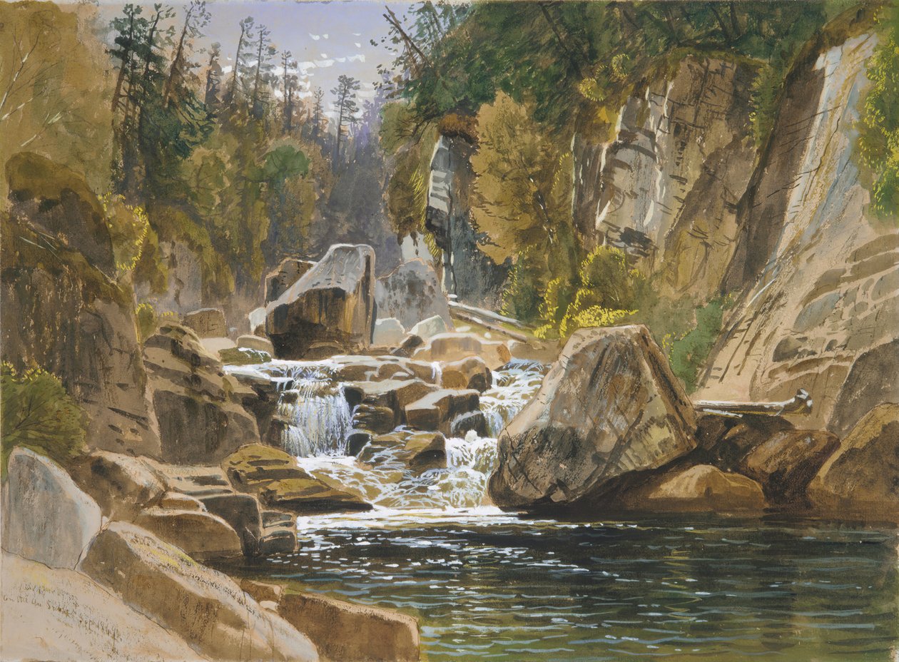 På Ausable, 1869. af James David Smillie