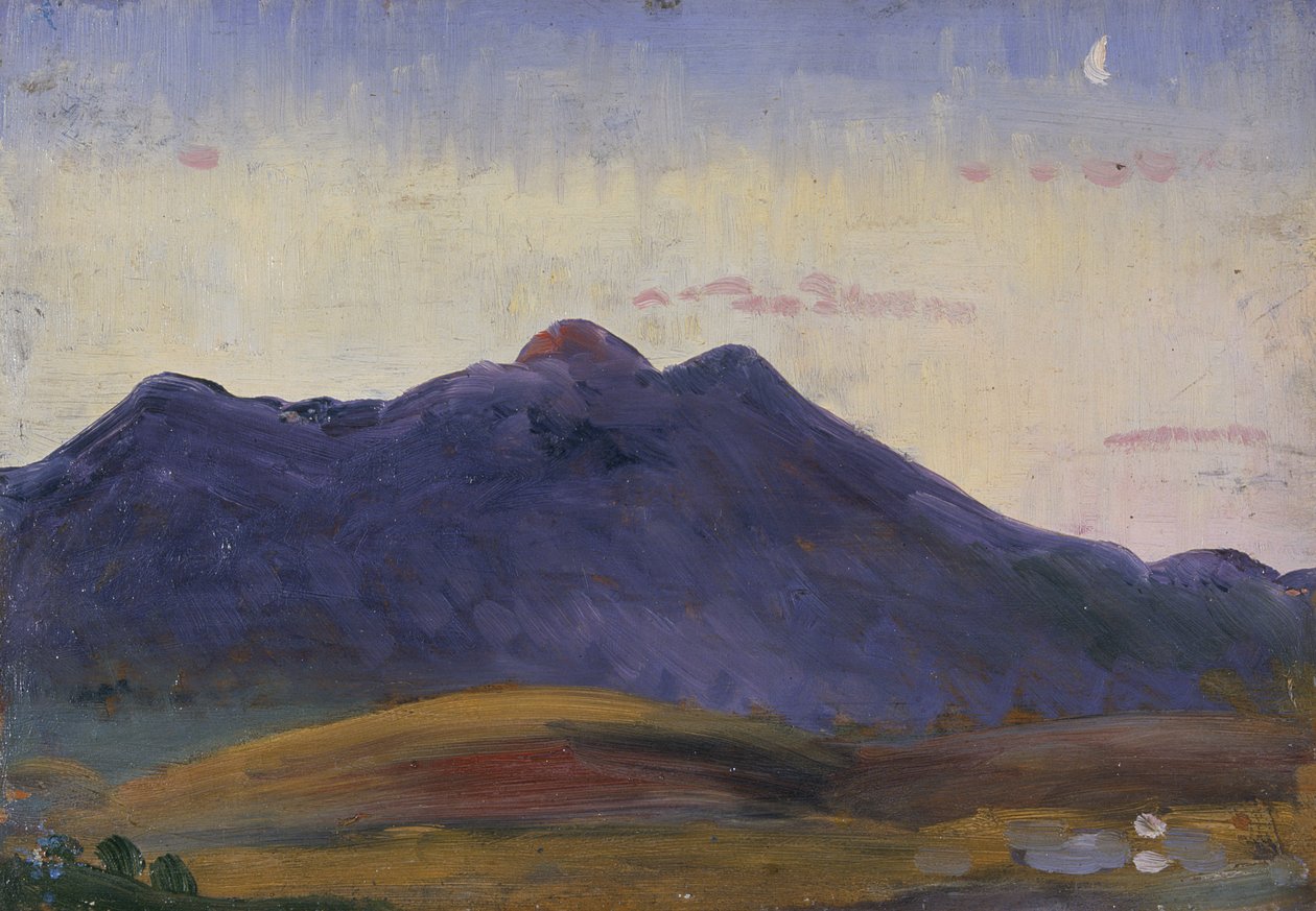 Arenig (olie på panel) af James Dickson Innes