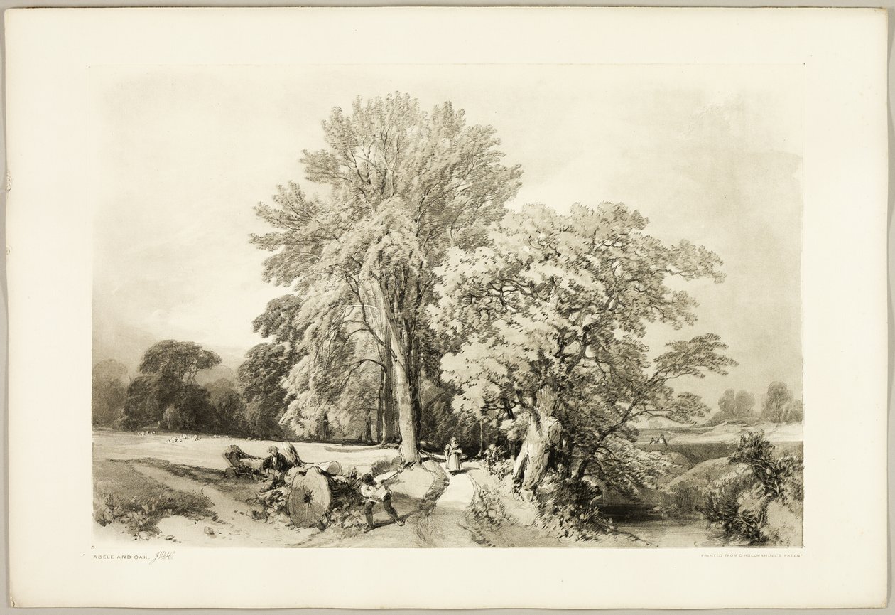 Abele og Eg, fra Parken og Skoven af James Duffield Harding
