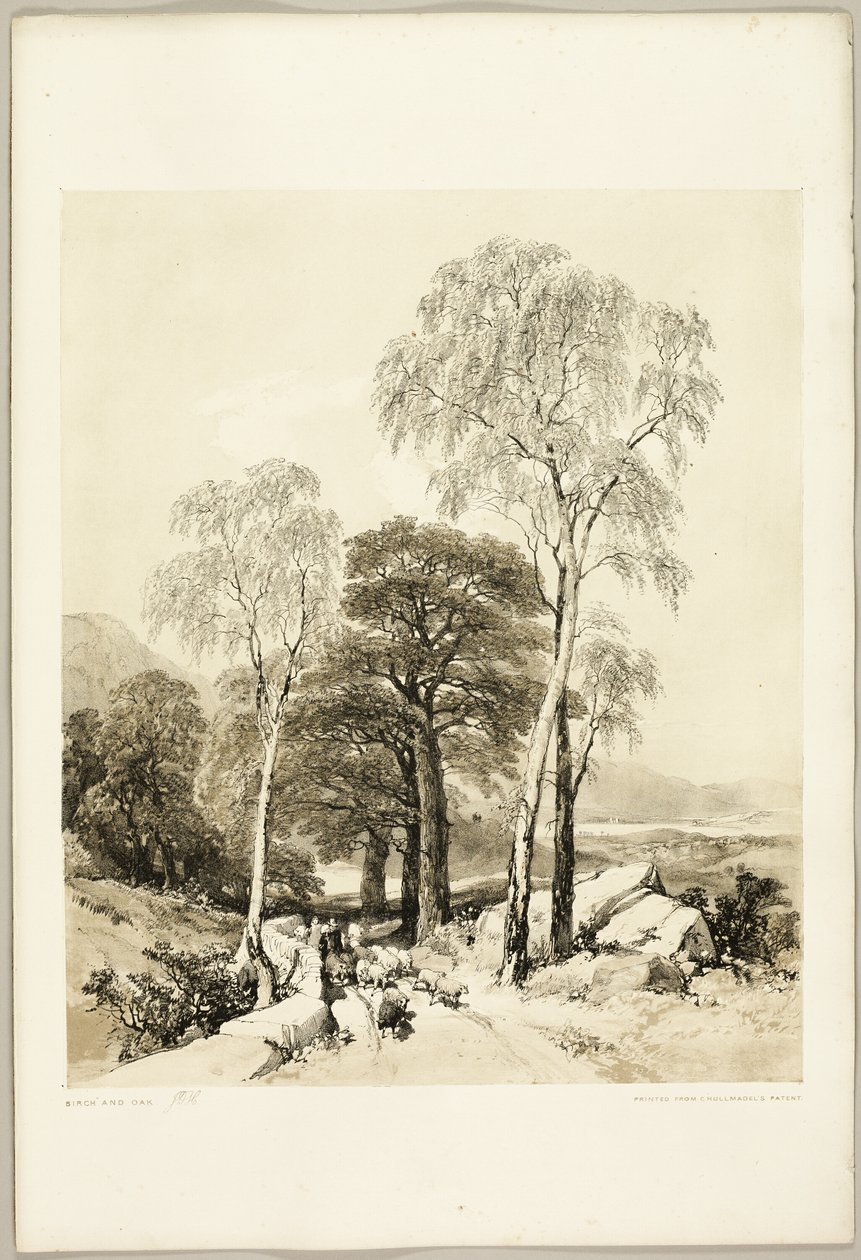 Birk og Eg, fra Parken og Skoven af James Duffield Harding