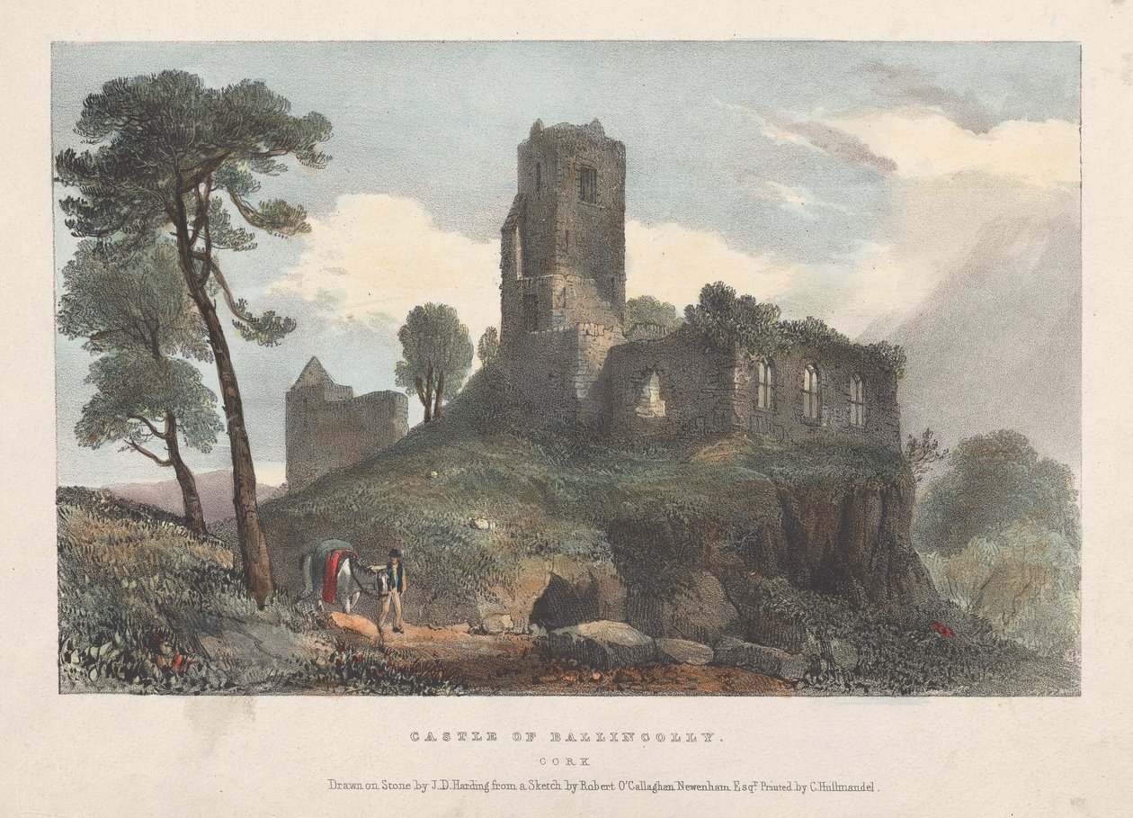 Castle of Ballincolly af James Duffield Harding