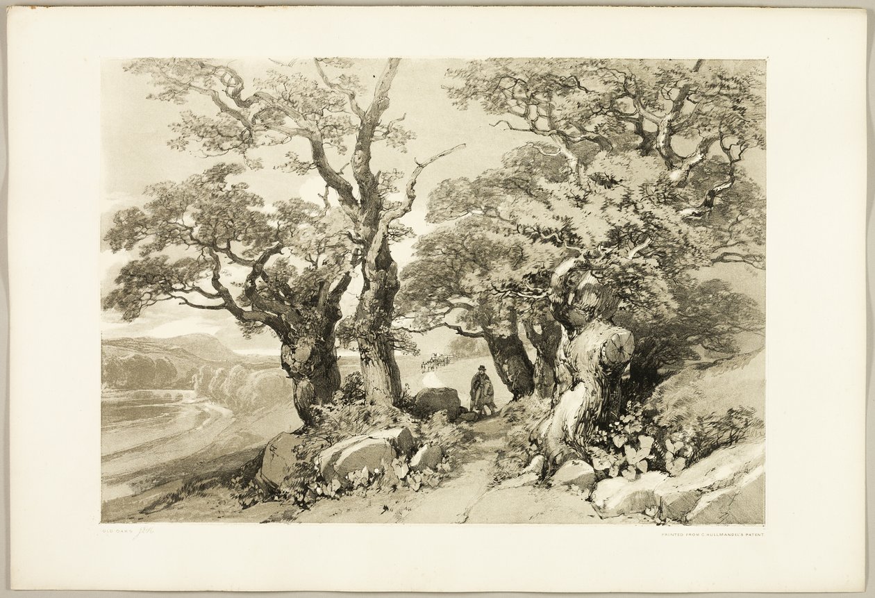 Old Oaks, fra The Park and the Forest af James Duffield Harding